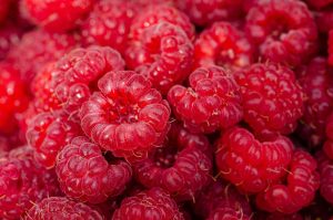 alimentatie postpartum