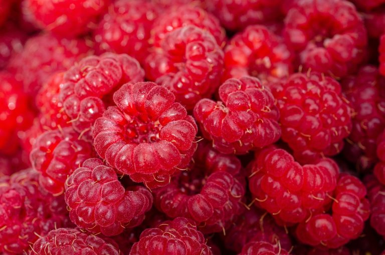 alimentatie postpartum