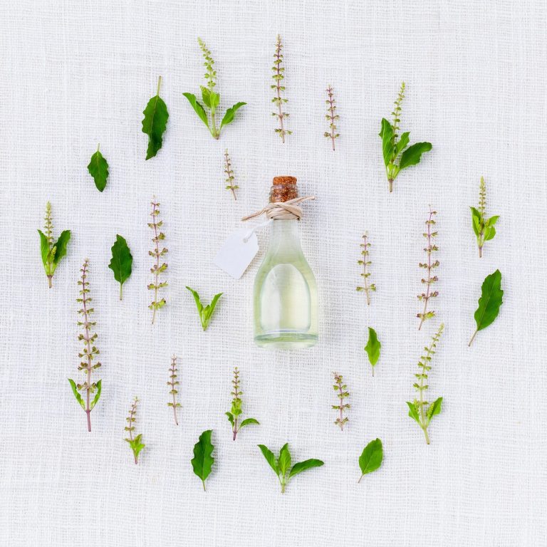 carbune medicinal alaptare