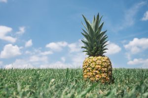 ananas in alaptare