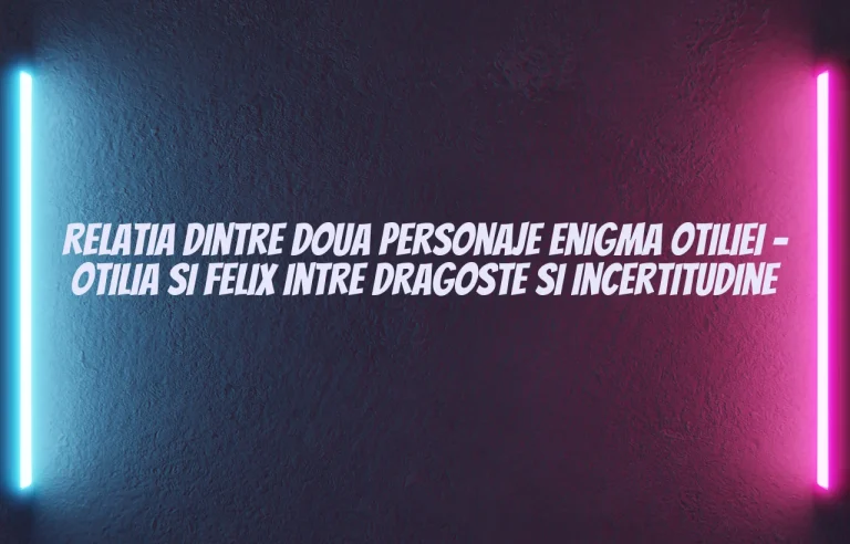 relatia dintre doua personaje enigma otiliei