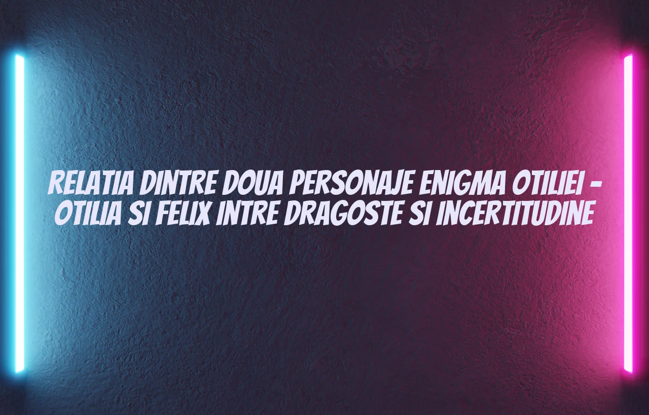 relatia dintre doua personaje enigma otiliei