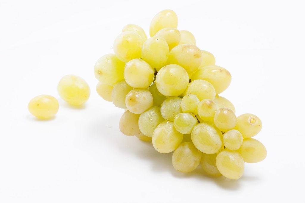 struguri in alaptare